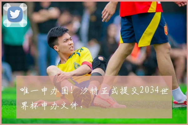 唯一申办国！沙特正式提交2034世界杯申办文件，