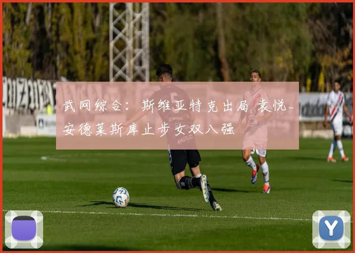 武网综合：斯维亚特克出局 袁悦_安德莱斯库止步女双八强